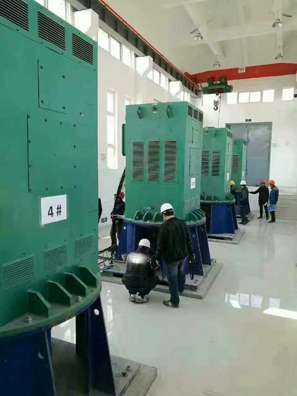 新龙镇某污水处理厂使用我厂的立式高压电机安装现场