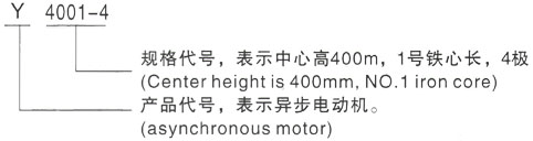 西安泰富西玛Y系列(H355-1000)高压新龙镇三相异步电机型号说明